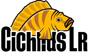 CichlidsLr